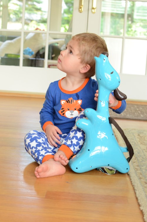 A favorite toy ... Day 2/365