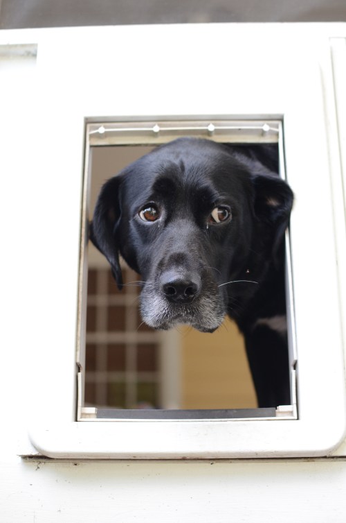 Um, hey, what are you guys doing out there?  Day 11/365