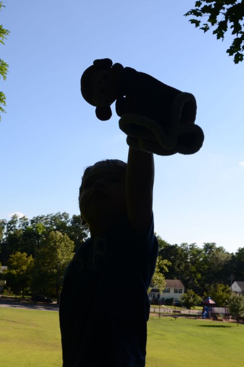 Flyyyying Mooonkey! Day 17/365.