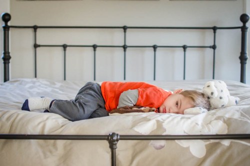 editDSC_9126bottomROT