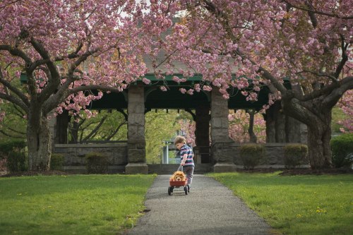 editFINAL DSC_6762.jpg