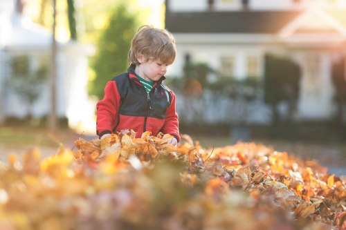 edit DSC_4273-Edit-1