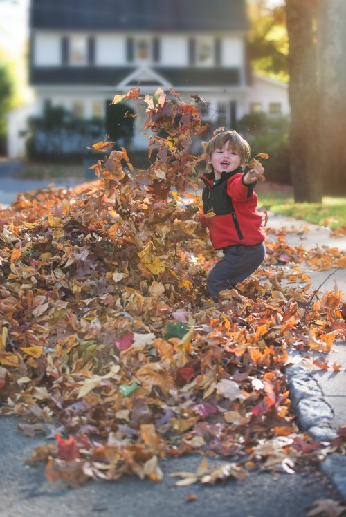 edit DSC_4293-Edit-3