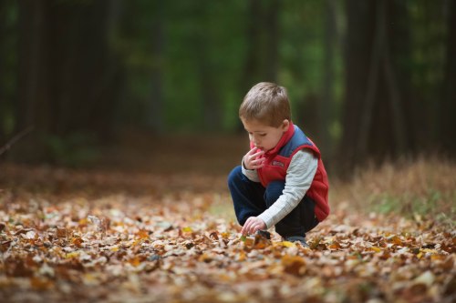 edit no grainDSC_2729-Edit