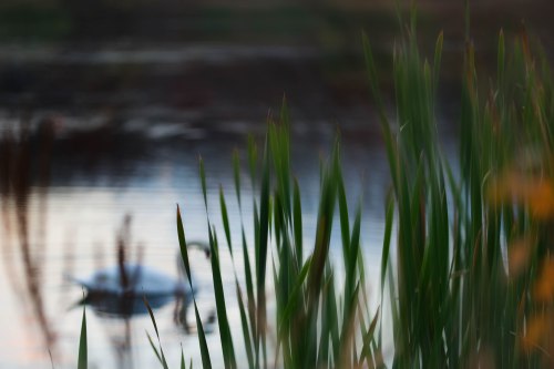 editDSC_7742-Edit-2fog