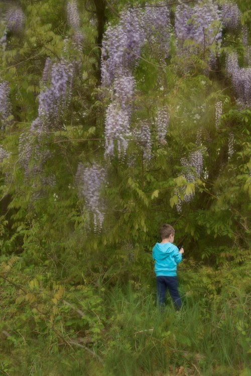 edit DSC_6481-Edit-2(no flare)-2