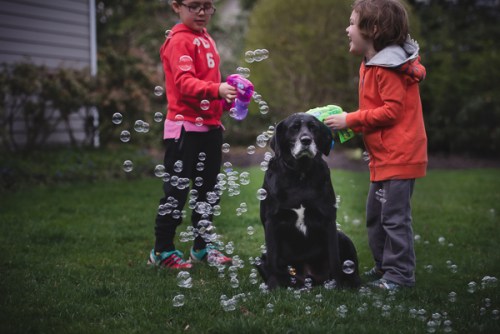 small editDSC_5958-Edit-1