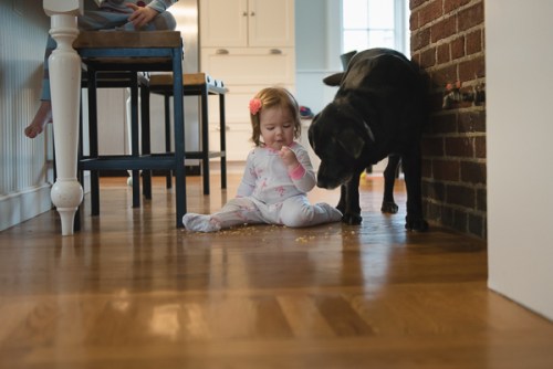 small editDSC_6498.jpg