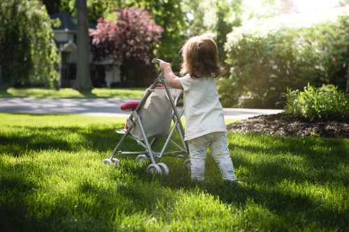 small editDSC_8821-Edit-1